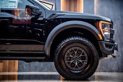 فۆرد F-150 راپتۆر